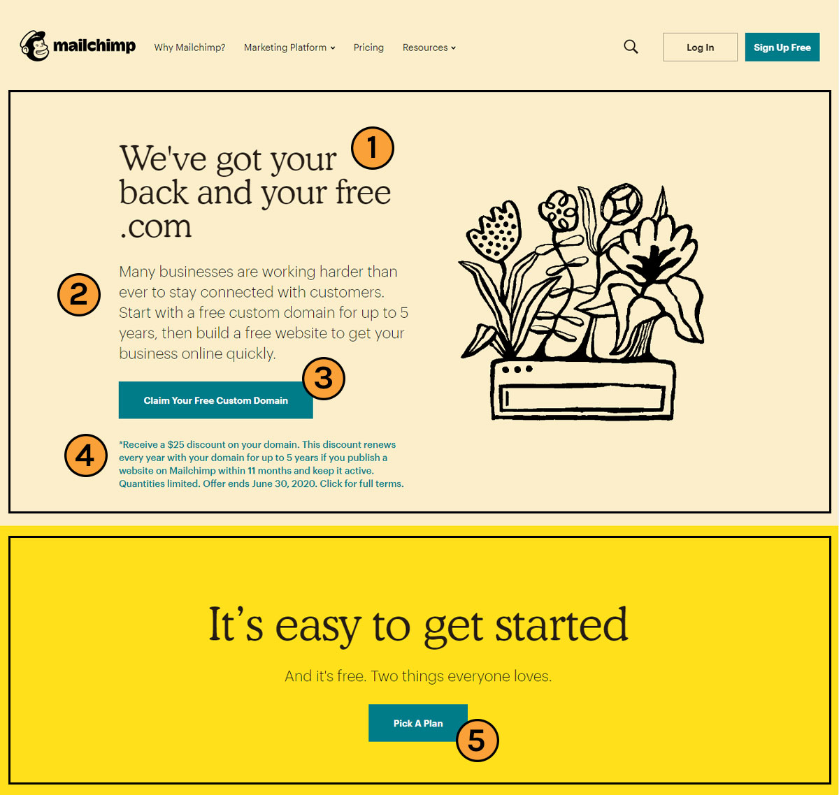 Mailchimp landing page