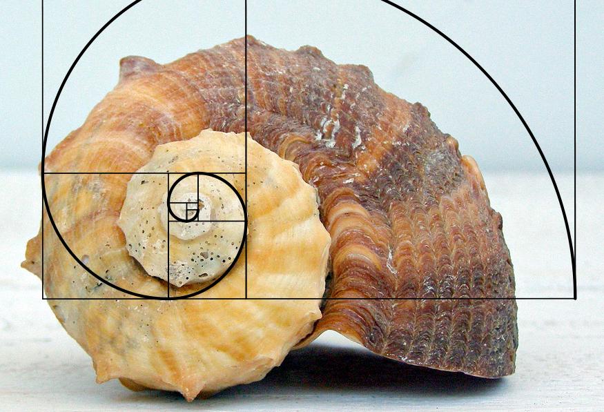 Golden ratio example